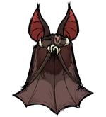 A sleeping Vampire Bat.