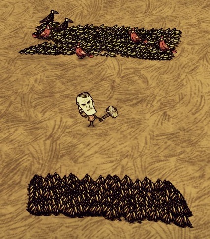 Seeds Don T Starve Wiki Fandom