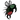 Mosquito.png