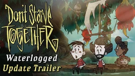 Waterloggedvid