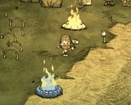 Woodie Endothermic Fire Don't Starve.jpg (205キロバイト) Woodie standing between an Endothermic Fire Pit and a Fire Pit.