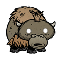 Baby Beefalo