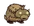 Baby Beefalo