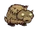 Baby Beefalo