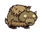 Baby Beefalo