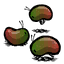 Bean Bugs