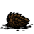 Pine Cone