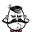 Wolfgang Portrait.png