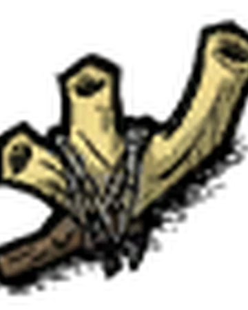 鸟哨 Don T Starve 中文維基 Fandom