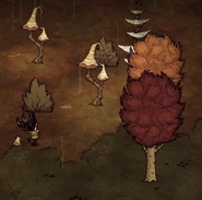 白天的蘑菇树。