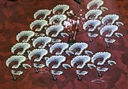 Nettle Vines that have bloomed