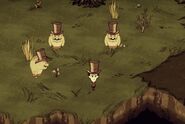 Don't Starve Beta Release 62343 Pig Hats