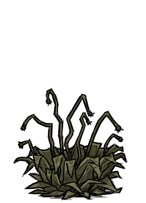 Juicy Berry Bush Don't Starve Wiki Fandom