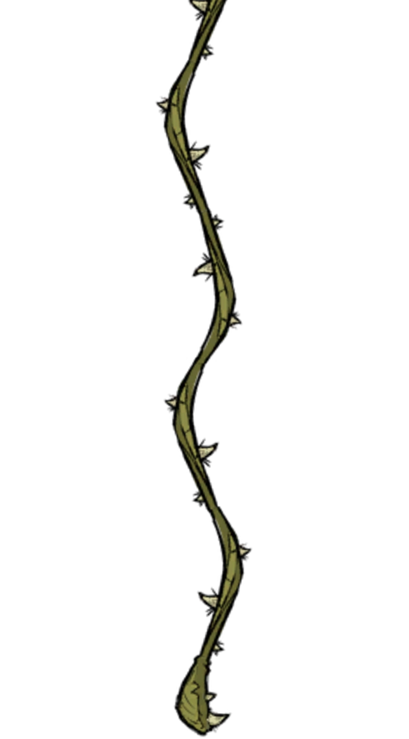 Hanging Vine Don't Starve Wiki Fandom