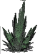 The Screecher Marsh Plant.png (111 KB) unused marsh plant