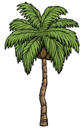 Palm Tree