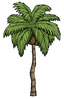 Palm Tree