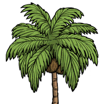 Palm Tree Don T Starve Wiki Fandom