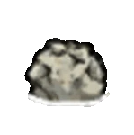 Teeth mine reset.gif (542 KB) reset