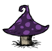 Toadstool Cap.png (22キロバイト) The Toadstool's Cap.