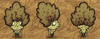 Wurt wearing a Bush Hat.