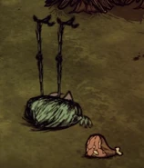 A dead Smallish Tallbird.