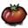 Toma Root.png