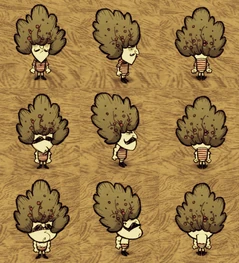 Wolfgang wearing a Bush Hat.