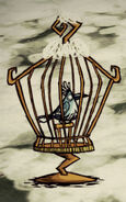 Snowbird imprisoned in a Birdcage.