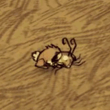 Conejo asustado.gif