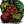 Fruit.png
