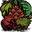 Fruit.png
