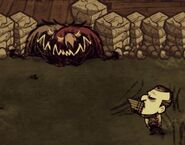 Maxwell1.jpg (14 KB) Maxwell putting Hounds to sleep.