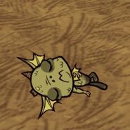 Wurt Sleep