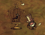 A bug in Shipwrecked causing the bird in the Birdcage to wear a small piratehat despite not being a Parrot Pirate.