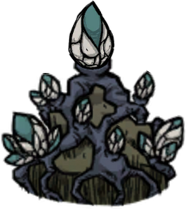 Bud