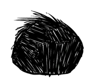 A sleeping Tallbird.