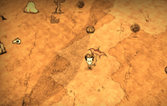 A Desert biome in Summer.