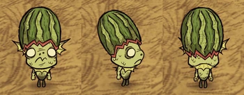 Wurt wearing a Fashion Melon.