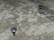 MacTusk shooting at Wilson.png (426 KB) MacTusk Front view, shooting diagonally.