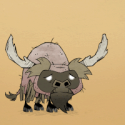 Beefalo Don T Starve 攻略 Wiki Fandom Beefalo Don T Starve 攻略 Wiki Fandom