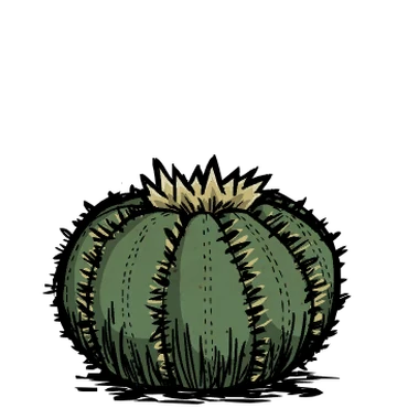 Cactus | Don't Starve Wiki | Fandom