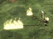 The Luxury Fan's range; a rough estimate.