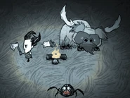 Shaved-beefalo.jpg (35 KB) shaved beefalo