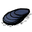 Mussel.png