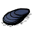 Mussel