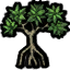 Tree/Mangrove Tree