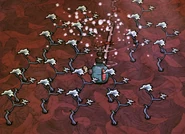 Nettle Vines with high wetness (will bloom)