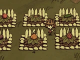 Farming