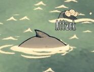 Blue whale swiming.jpg (37 KB) A Blue Whale swimming